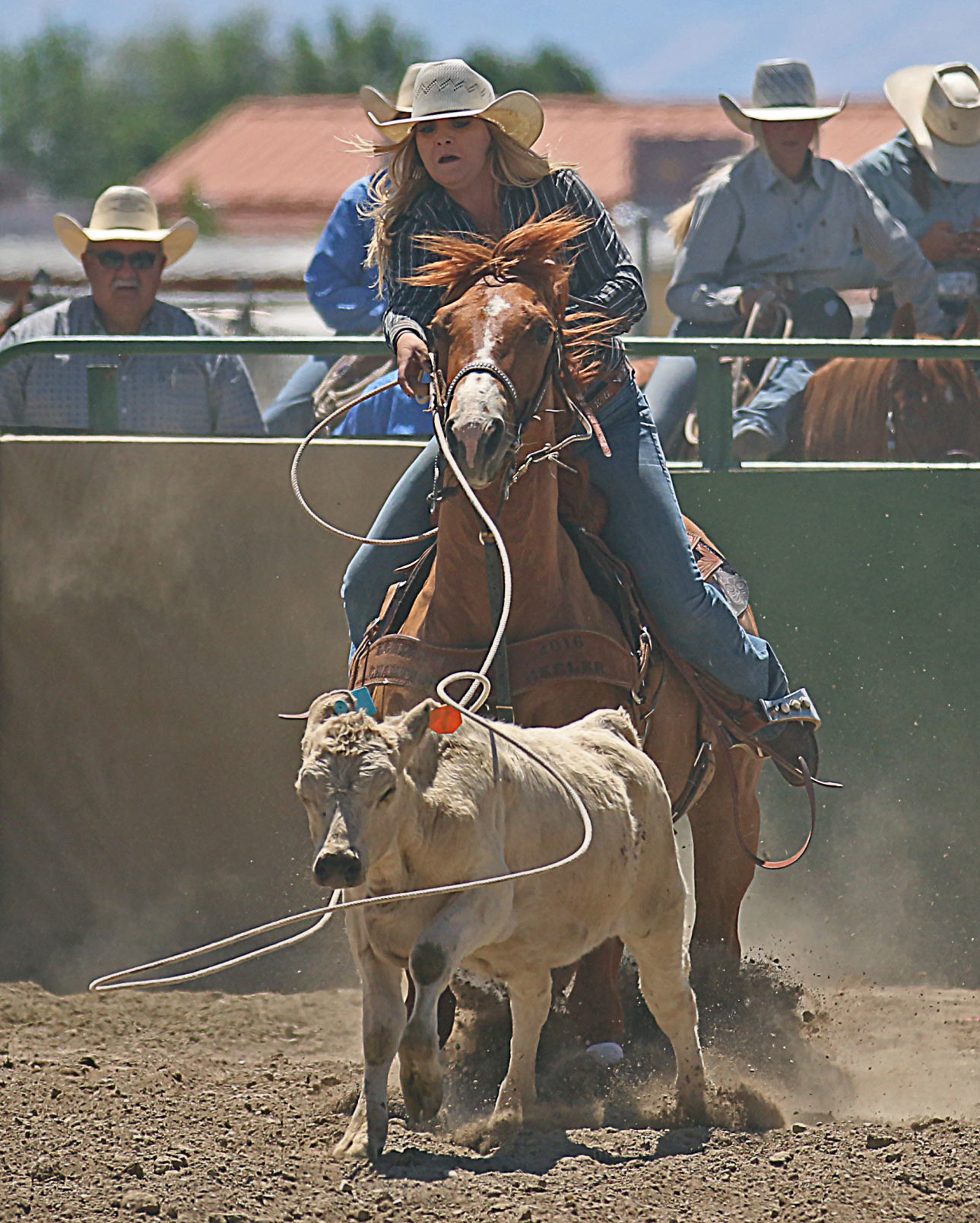 Dally Goemmer